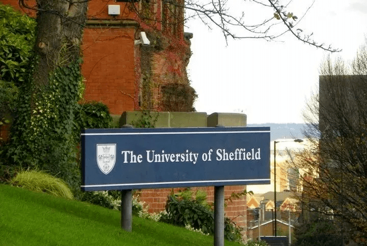  南安普顿负于诺丁汉森林排名持续下滑